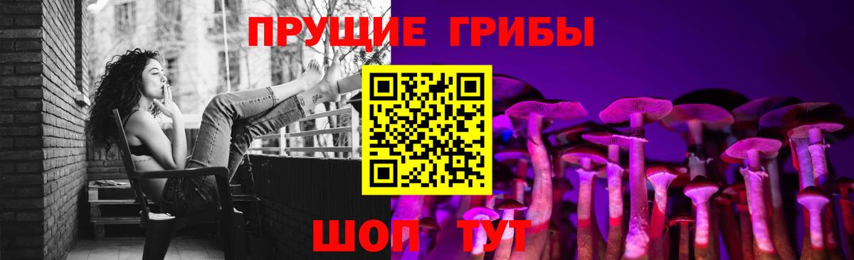 Псилоцибиновые грибы Psilocybine cubensis Кулебаки